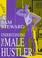 Cover of: Understandingthe male hustler