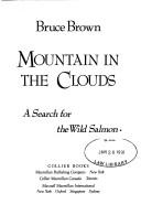 Mountain in the clouds by Brown, Bruce
