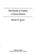 Cover of: The Kurds in Turkey by Michael M. Gunter
