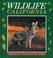 Cover of: Wildlife California.