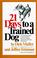 Cover of: 21 days to a trained dog