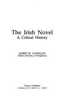 Cover of: The Irish novel: a critical history