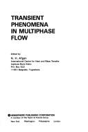 Cover of: Transient phenomena in multiphase flow