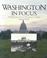 Cover of: Washington in focus