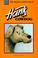 Cover of: The original adventures of Hank the Cowdog