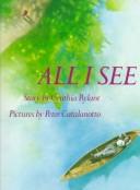 all-i-see-cover