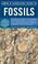 Cover of: Simon & Schuster's guide to fossils