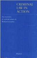 Cover of: Criminal law in action: an overview of current issues in Western societies
