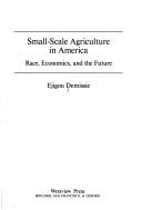 Cover of: Small scale agriculture in America: race, economics, and the future