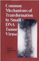 Common mechanisms of transformation by small DNA tumor viruses by Luis P. Villarreal