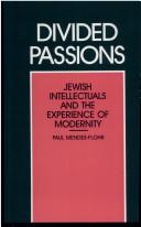 Cover of: Divided passions: Jewish intellectuals and the experience of modernity
