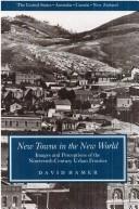 Cover of: New towns in the New World: images and perceptions of the nineteenth-century urban frontier