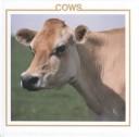 Cover of: Cows by Lynn M. Stone