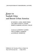 Cover of: Essays on sunbelt cities and recent urban America