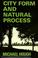 Cover of: City form and natural process