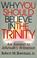 Cover of: Why you should believe in the Trinity