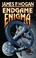 Cover of: Endgame Enigma