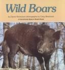Wild boars by Darrel Nicholson
