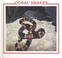 Cover of: Coral snakes