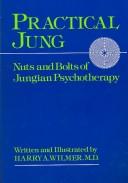 Cover of: Practical Jung by Harry A. Wilmer