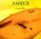 Cover of: Amber