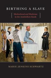 Cover of: Birthing a slave: motherhood and medicine in the antebellum South