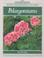 Cover of: Pelargoniums