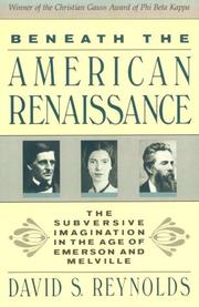 Cover of: Beneath the American Renaissance: the subversive imagination in the age of Emerson and Melville