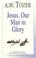 Cover of: Jesus, our man in glory