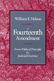 Cover of The Fourteenth Amendment