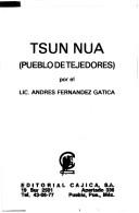 Cover of: Tsun núa = by Andrés Fernández Gatica
