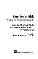 Cover of: Families at risk: treating the multiproblem family