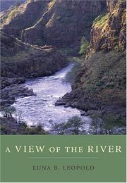 Cover of: A View of the River by Luna B. Leopold