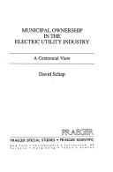 Cover of: Municipal ownershipin the electric utility industry by David Schap