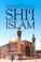 Cover of: An introduction to Shiī Islam