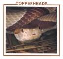 Cover of: Copperheads by Sherie Bargar