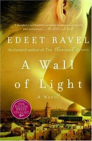 Cover of: A Wall of Light by Edeet Ravel, Edeet Ravel