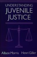 Cover of: Understanding juvenile justice