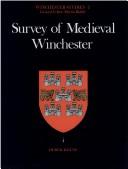 Cover of: Survey of medieval Winchester by Derek Keene