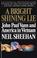 Cover of: A bright shining lie