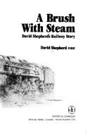 A brush with steam by Shepherd, David