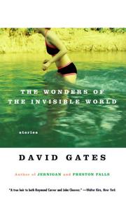 Cover of: The Wonders of the Invisible World | David Gates