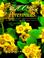 Cover of: The 100 Best Perennials 