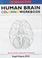 Cover of: Human Brain Coloring Workbook (Coloring Workbooks)