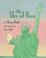 Cover of: The sky of now