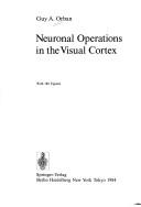Cover of: Neuronal operations in the visual cortex