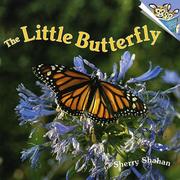 Cover of: The little butterfly