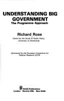Cover of: Understanding big government: the programme approach