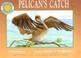 Cover of: Pelican's catch