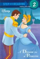 Cover of: A dream for a princess